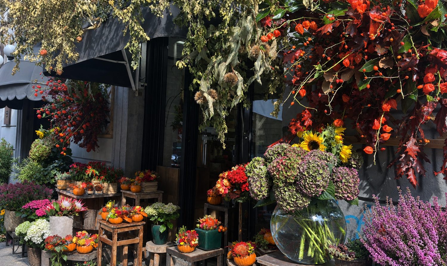 Vetrina del negozio Le Luire Fiori a Milano decorata con composizioni autunnali